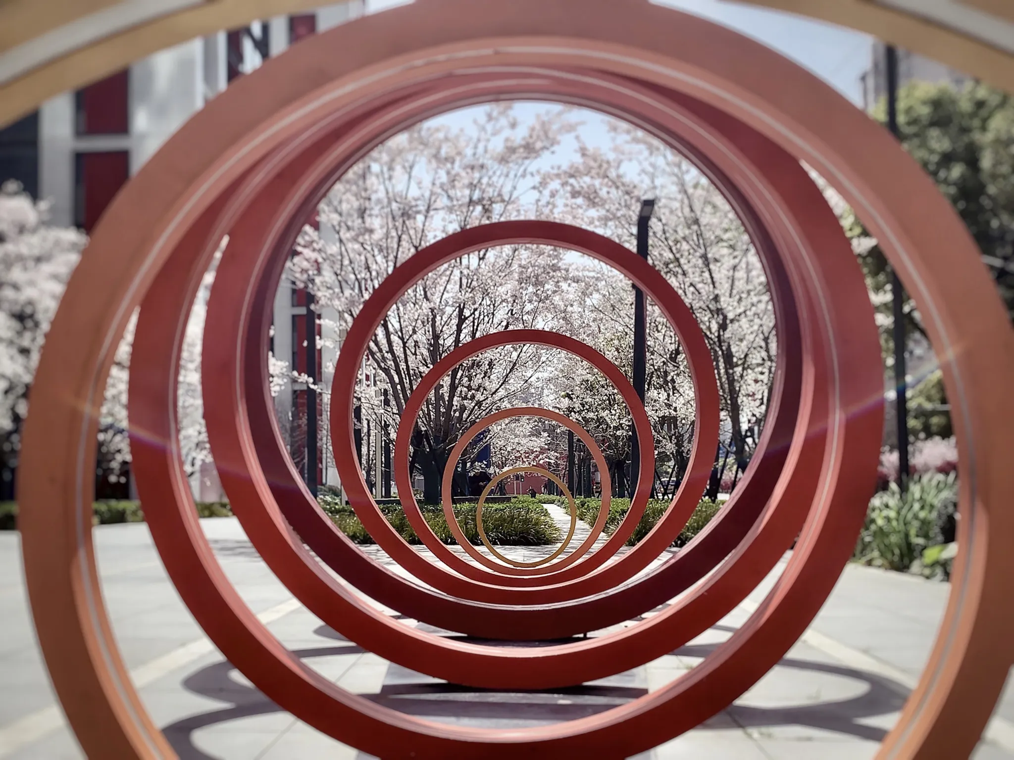 Red circular frames forming a path through a landscaped public space